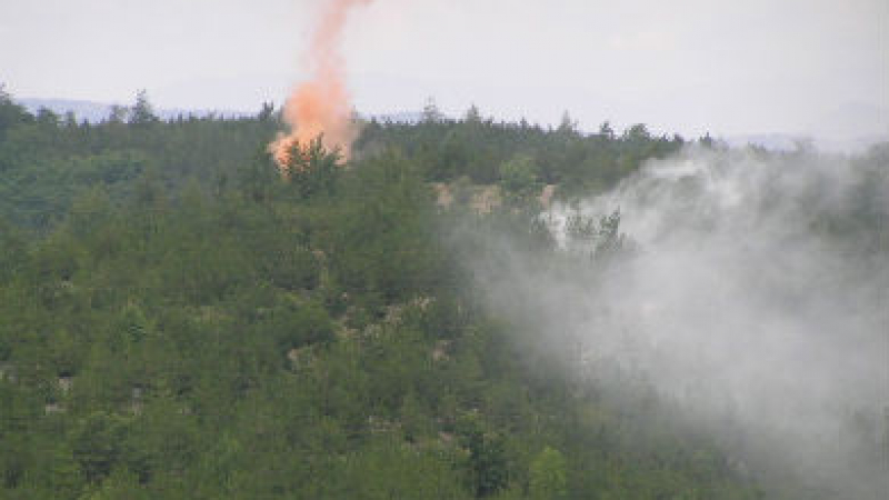 500 декара горят в Тополовградско