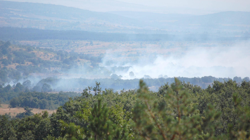 5 часа гасиха пожар в Шумен, оцеля над 500 дка борова гора