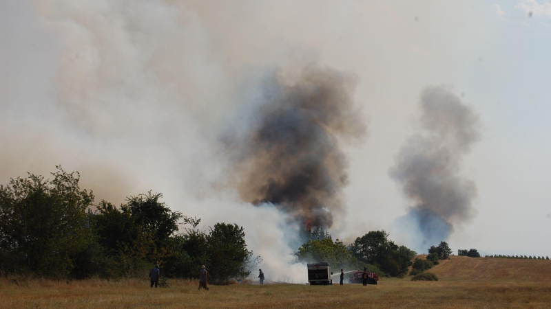 Берачи на къпини са запалили село Боровица 