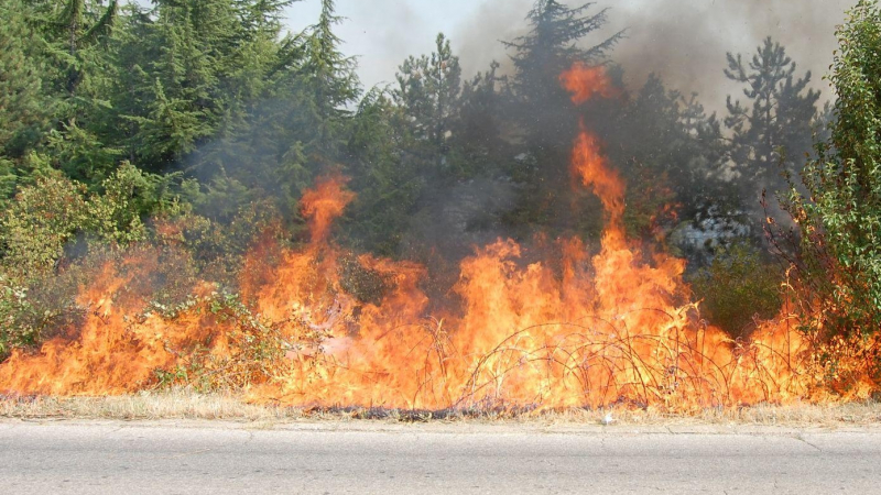 България пламна от всички страни, четири села в Родопите са в опасност