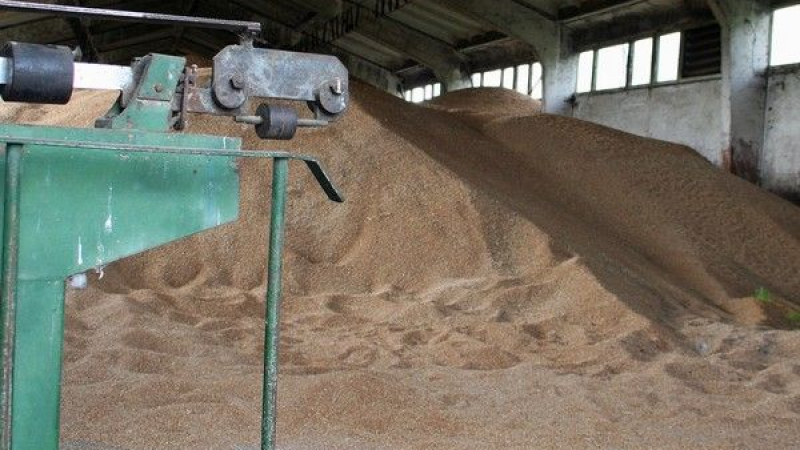 Невиждан ръст в износа на българско хлебно зърно