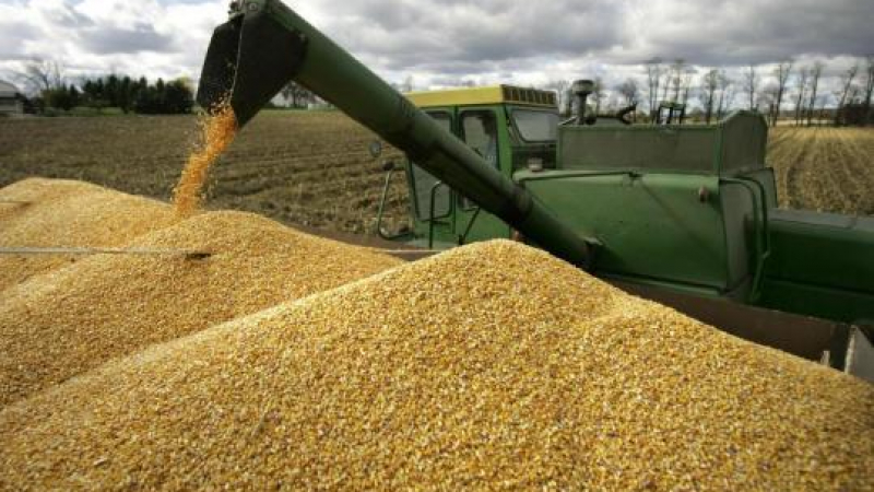 Тези 3 страни се опълчиха на ЕК за вноса на украинско зърно
