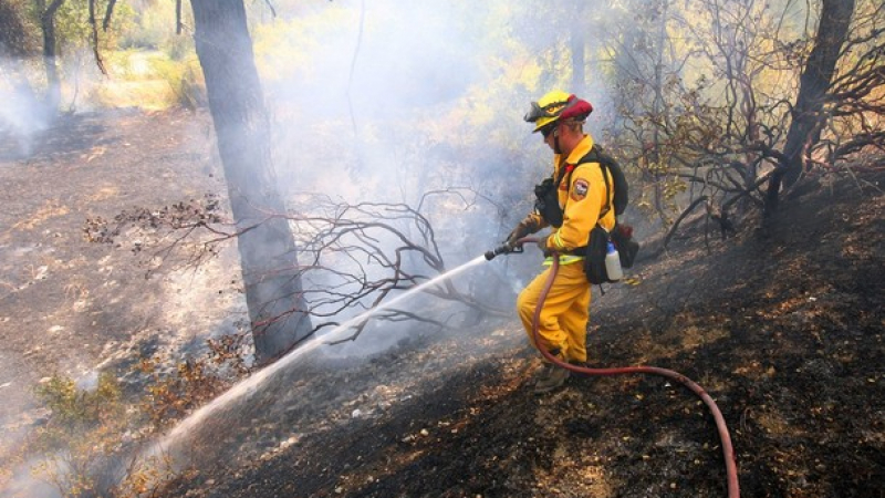 3000 души евакуирани заради горски пожар в Калифорния