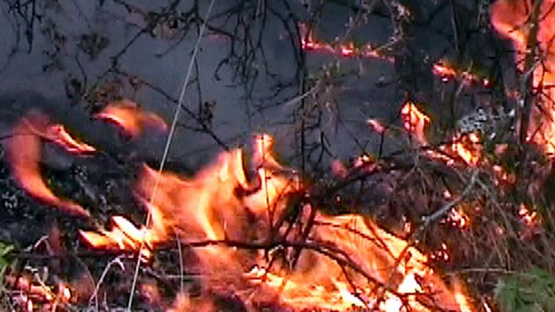 Пожар обгазява Рилския манастир 