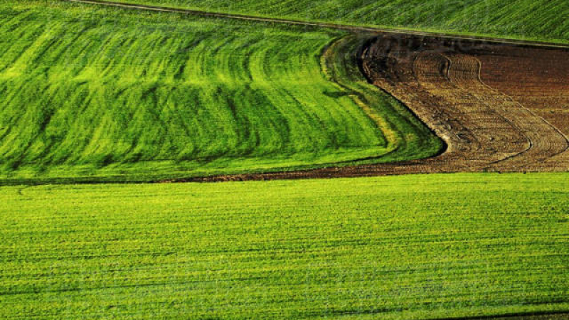 Държавата продава 150 000 декара земеделски земи 