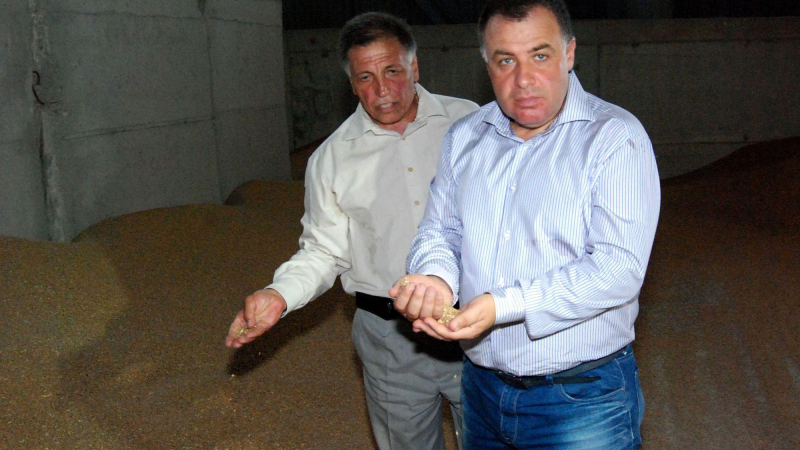 Проверяват 137  търговци на зърно в Северозападна България