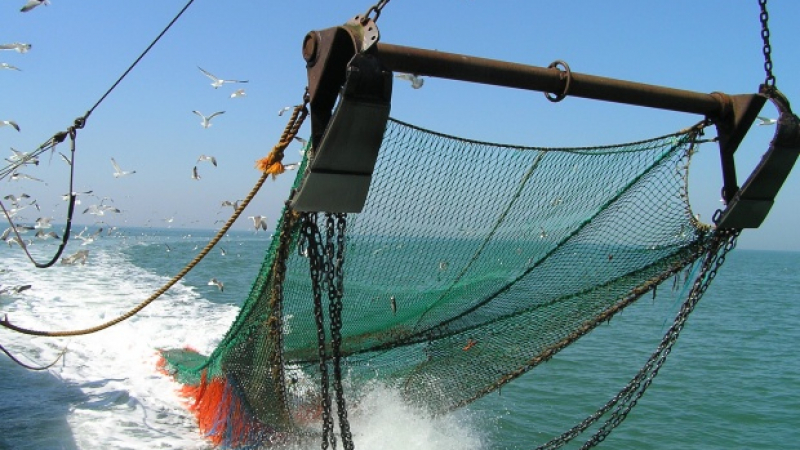 Полицаи проверяват рибарите в Черно море 