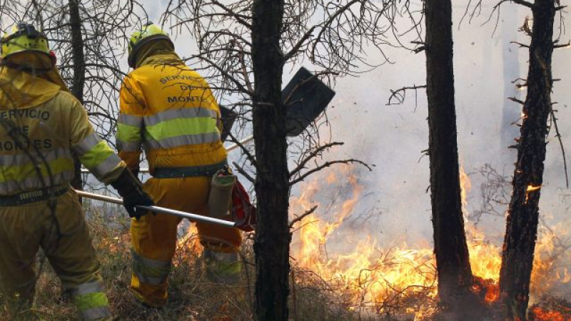6-годишен келеш подпали гора