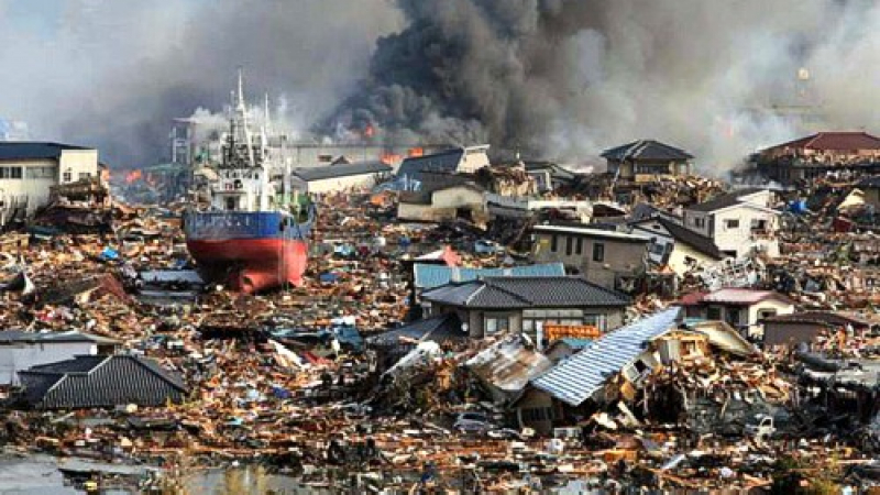 Земетресение в Япония може да отнеме живота на 323 000 души 
