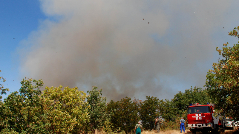 Нов пожар бушува между хасковските села Любеново и Родопи