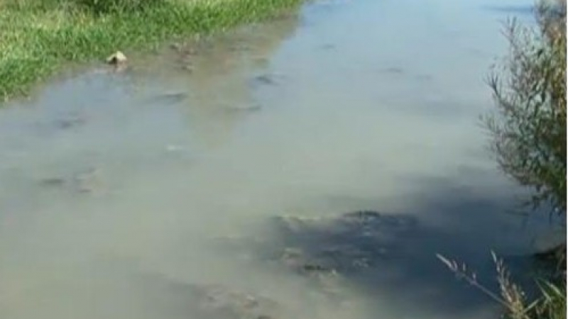 Фекални води убиват рибата в язовир Душанци
