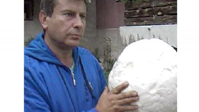 4-килограмова пърхутка откри следовател от Кюстендил 