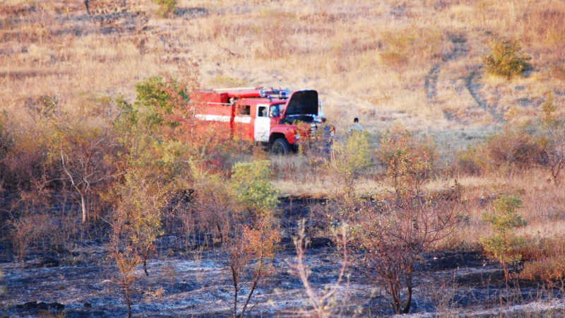 Пожарни и селяни спасиха Камен бряг от опожаряване