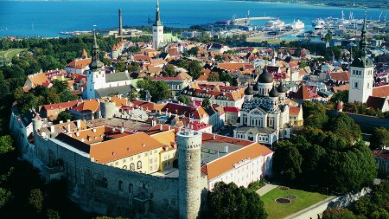 Политическа криза в Естония?