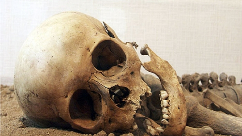 Откриха човешки череп и кости край видинско село