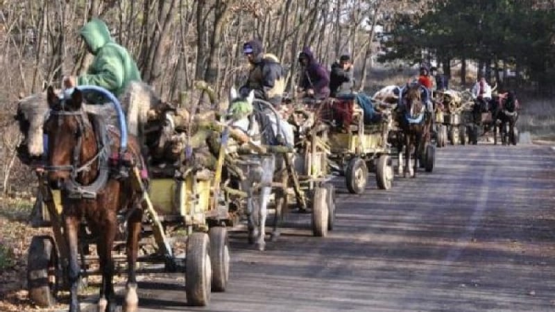 Гладни роми громят завод, останките са опасни