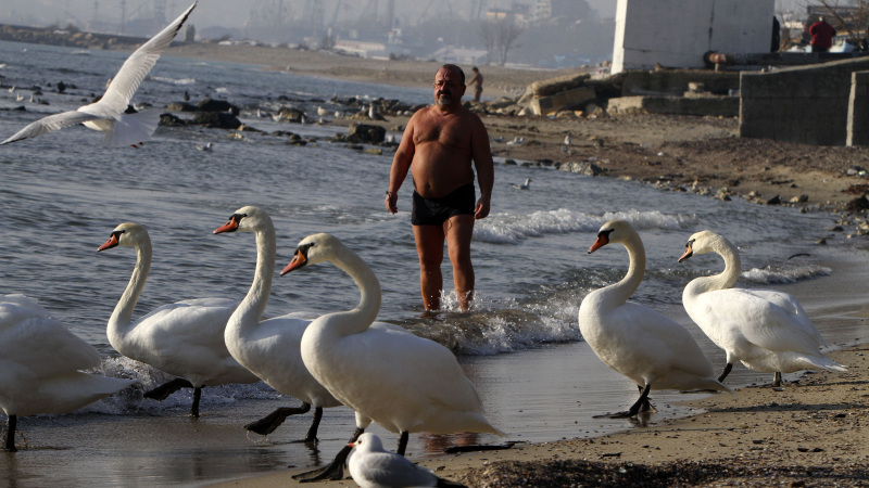 Слънцето изкара плажуващи във Варна