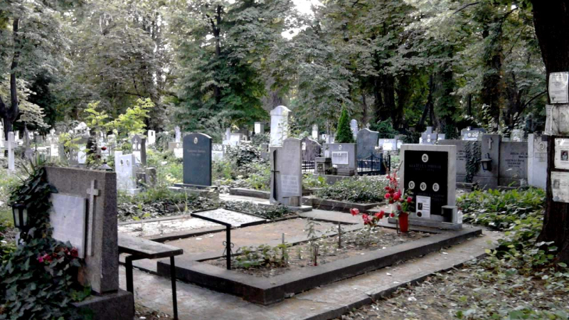 ВМРО спира вандализма в гробищните паркове ВИДЕО