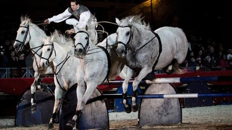 Започва зрелищният Карнавал на конете в Рим