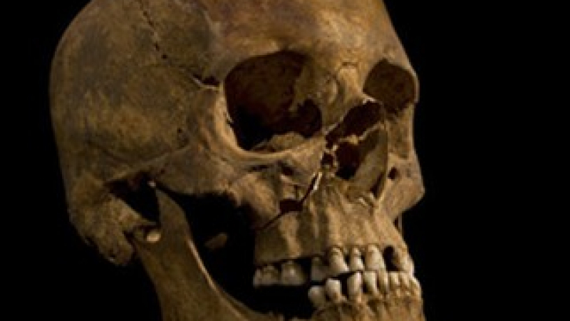 Откриха черепа на Ричард III под паркинг в Лестър
