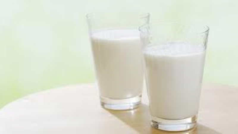 И в Холандия откриха отровно мляко