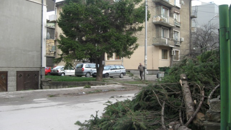 Ужас в Габрово: Млада жена загина под рухнало от бурята скеле