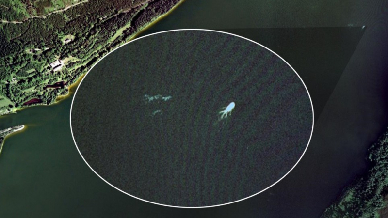 Google Earth засне случайно сцена на убийство! (ВИДЕО)