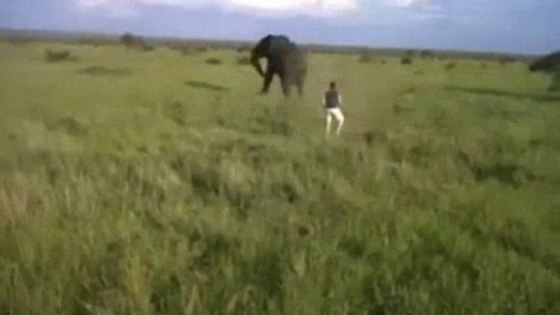 Пиян нападна слон по време на сафари (ВИДЕО)