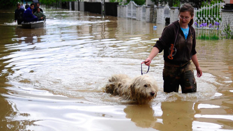 Чешкото правителството въведе извънредно положение заради наводненията  