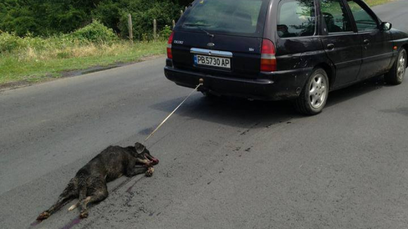 Съседи на мъжа, влачил с колата кучето си: Райчо е изрод, от него трепери цялото село!