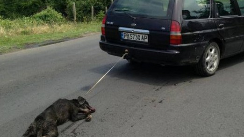 Извергът Райчо Иванов пак в ареста, погребал влаченото куче