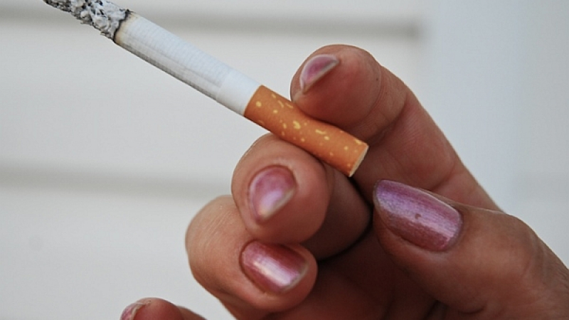 Брюксел забрани ментоловите цигари