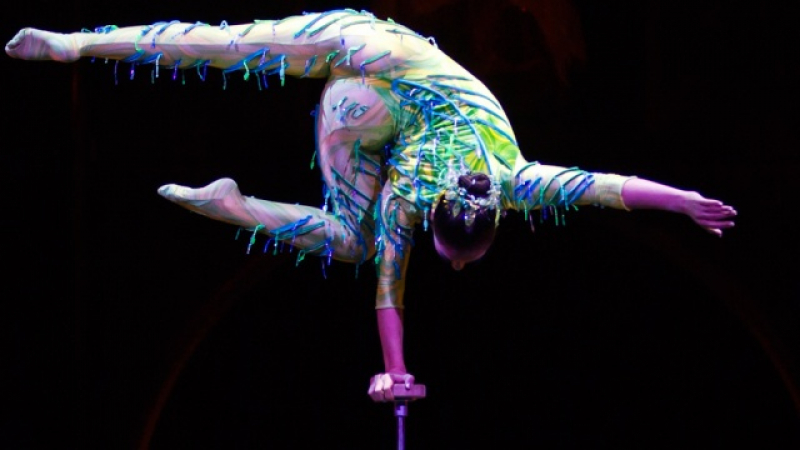 Артистка от Цирк дьо Солей загина по време на представление (ВИДЕО)