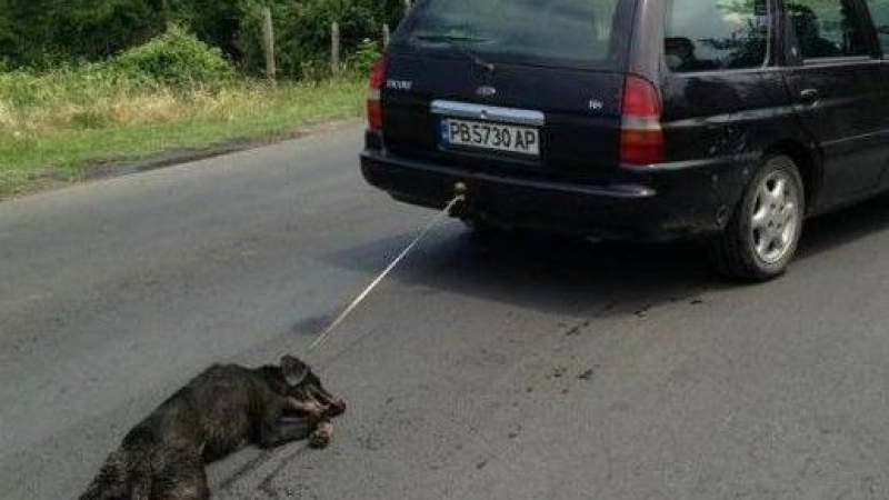 Само мъмрене за полицая, който върна зверски убитото куче на жестокия стопанин