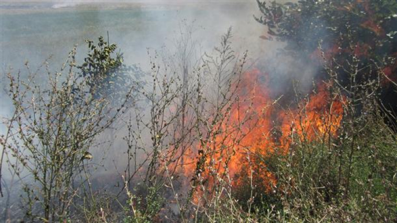 Голям пожар вилнее във вилна зона край Бургас