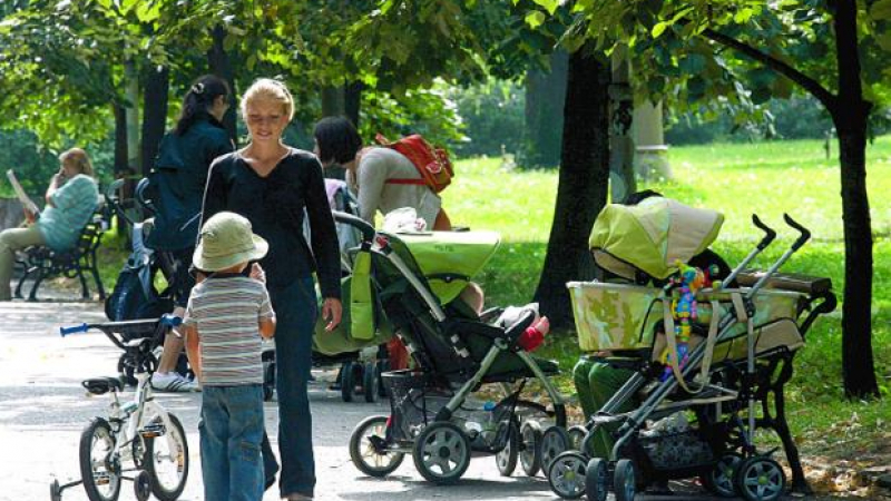 По-високи пенсии за майки с деца висшисти