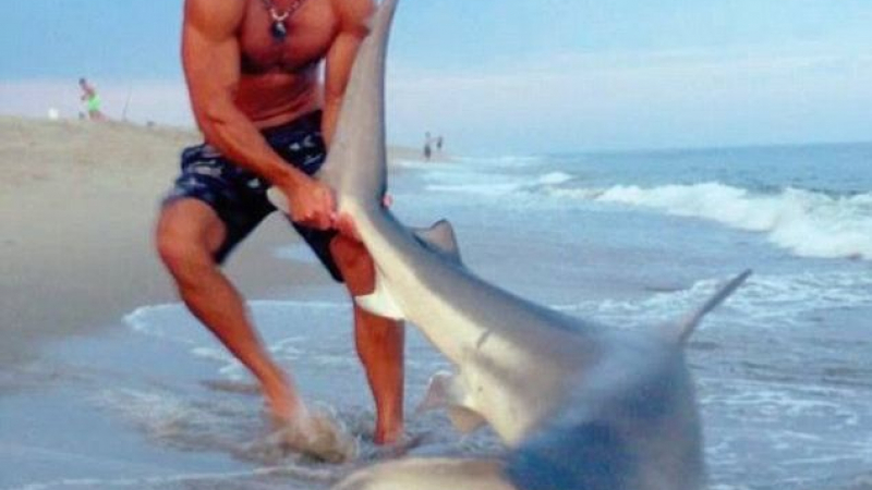 Човек срещу акула: Рибар бори морски хищник и печели (ВИДЕО)