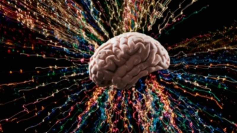 Откриха молекулата на нещастието в човешкия мозък