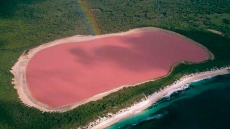 Розовото езеро е по-солено от Мъртво море
