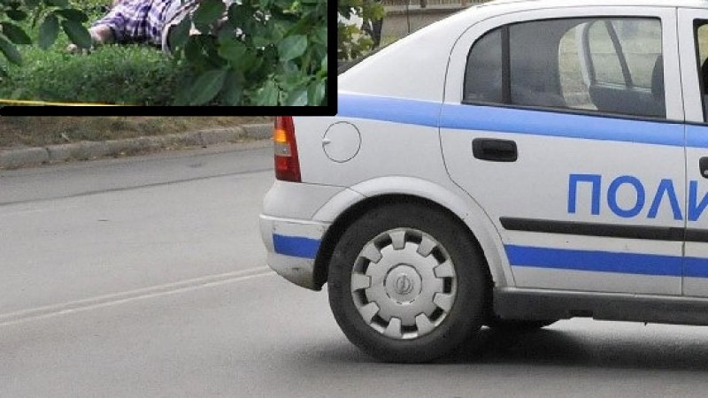 Хотелиер застреля сина си и се самоуби във Враца