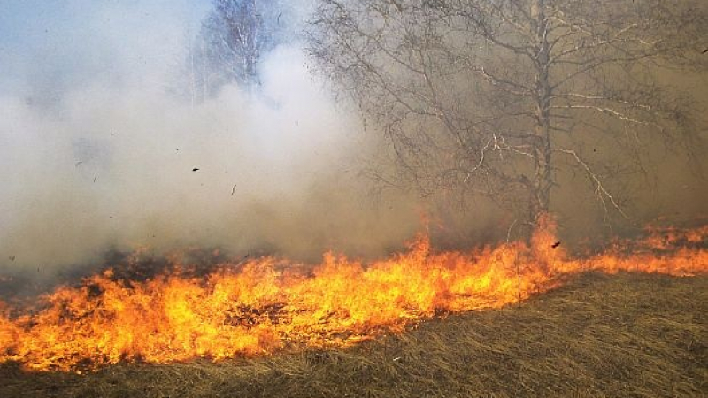 Пожар бушува сред вили до Варна