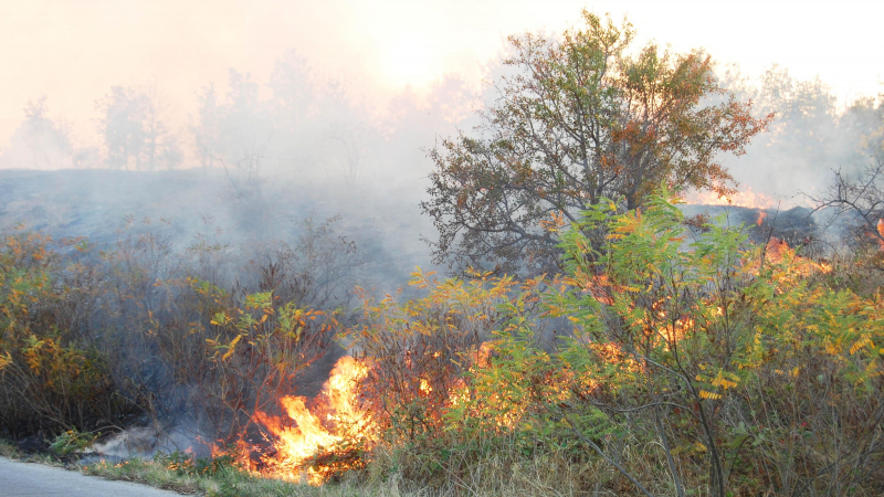9 пожара горяха във Великотърновско 