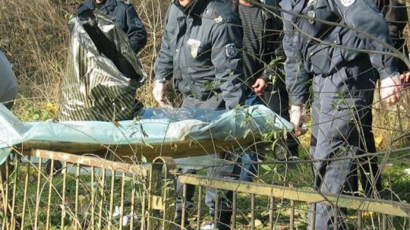 Убийство ужаси Дупница: Обезобразен труп изхвърлен до кофи за боклук