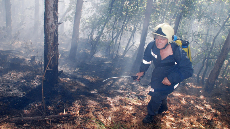 Пожар застрашава да подпали три села в Хасковско
