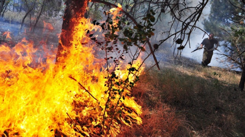 Потушиха огромния пожар край Казанлък
