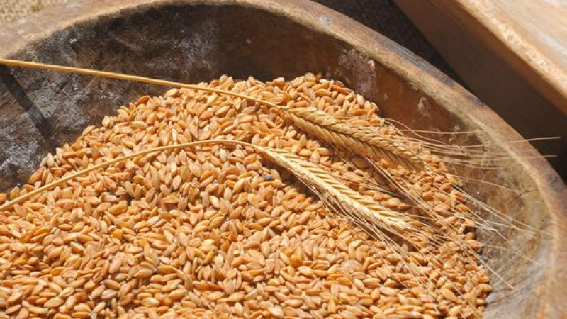 Румъния изнася българското жито 