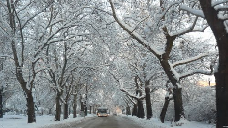Първи сняг падна в Пампорово! (СНИМКА)
