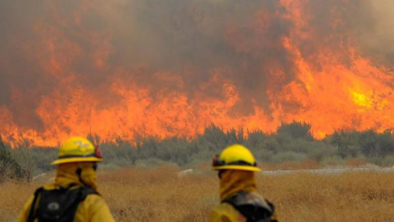 Десетки горски пожари бушуват в Австралия 