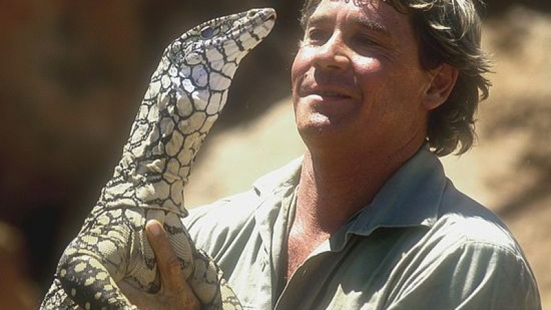 Последната дума на ловеца на крокодили Стив Ъруин: Умирам!