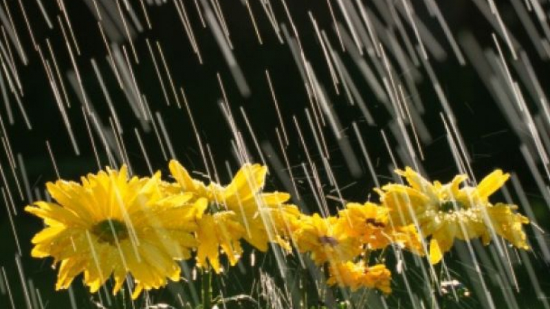 Синоптиците вещаят топло, слънце и дъжд тази седмица